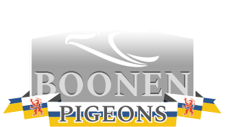 Boonen Pigeons Logo